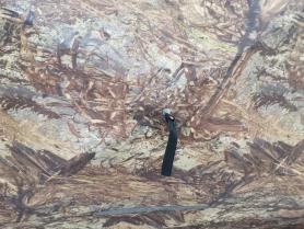 Зимняя палатка Мr.Fisher Лонг 290, камуфляж, композит (трехслойная)